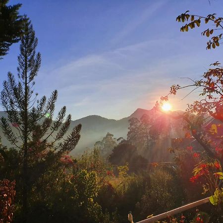 Princess Of Dickoya Homestay Hatton Exterior foto
